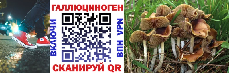 Галлюциногенные грибы GOLDEN TEACHER  Купить закладки  Одинцово 